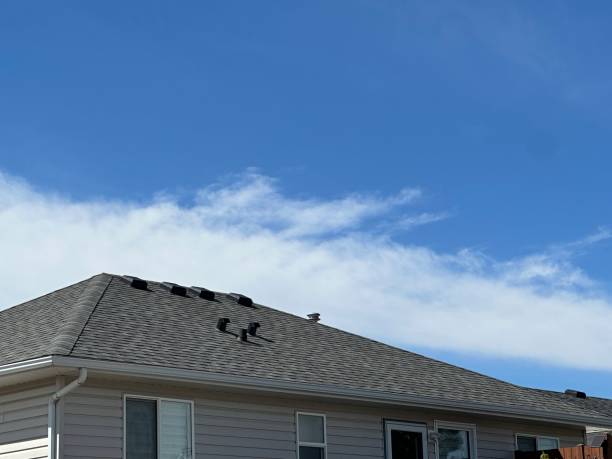 Best Emergency Roof Repair Services  in Carnot Moon, PA